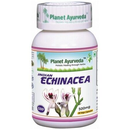 ECHINACEA INDICKÁ 500mg 60 kapsúl