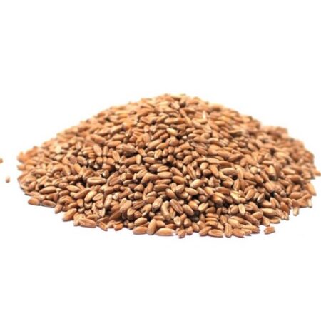 VB Pšenica špalda 5kg Bio
