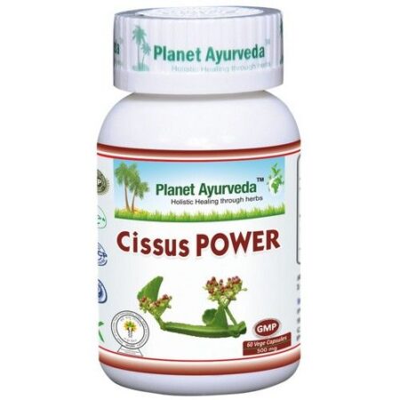 CISSUS POWER 500mg 60 kapsúl