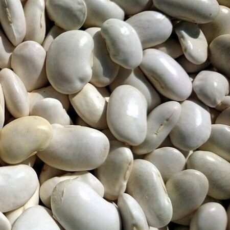 Natural Jihlava VB Fazuľa biela maslová extra veľká 5kg