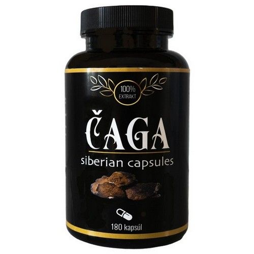 Čaga Sibírska 180 kapsúl