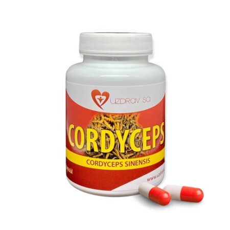Uzdrav sa Cordyceps Sinensis 90 kapsúl
