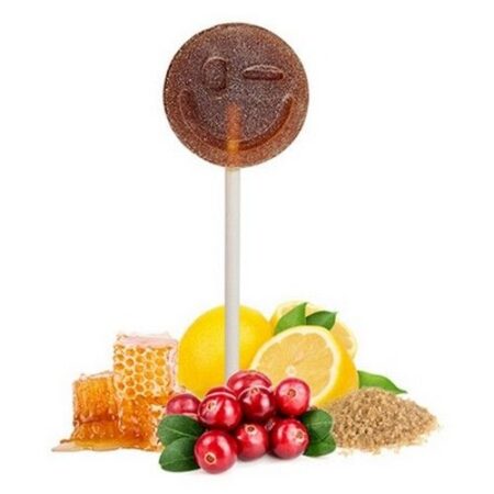 Beelol Medová lízanka brusnicová 6g